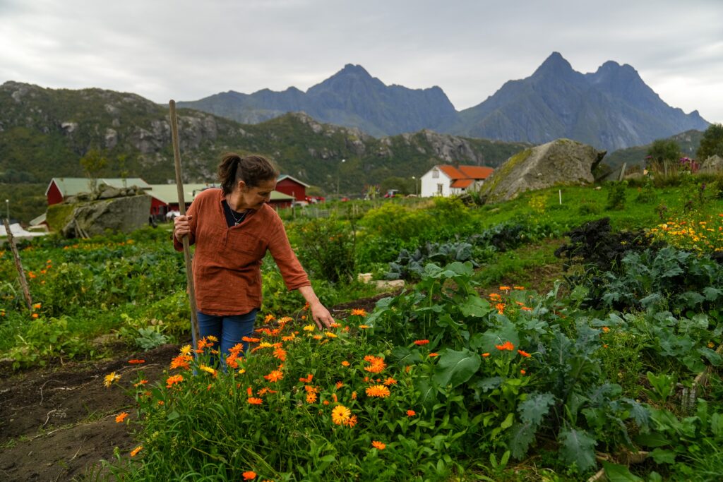 Top 50 Farmers - Marielle de Roos of Lofoten Ga_rdsysteri (Lofoten, Norway)_2
